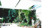 Bild #5 zu Sonnenschutz, Sichtschutz, Windschutz - Planungshilfen